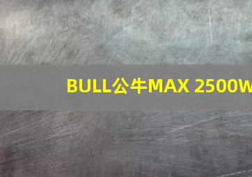 BULL公牛MAX 2500W